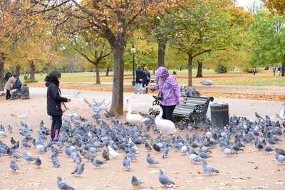 DSC_0630 (Large).JPG